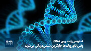 ویدیو/ کدنویسی زنده روی DNA؛ وقتی نانوروبات‌ها جایگزین شیمی‌درمانی می‌شوند