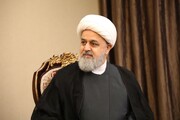 شهریاری: جمع «عرفان و سیاست» در سیره امام رمز پیروزی انقلاب بود 