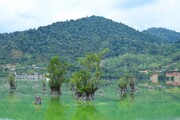 ۲۲ تالاب کشور سنددار شدند