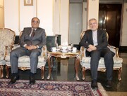 گفت‌وگوی مدیرکل آسیای جنوبی وزارت خارجه با سفیر جدید پاکستان در تهران