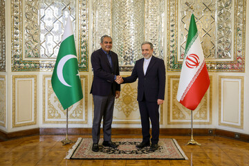 دیدار سیدمحسن نقوی وزیر کشور پاکستان، وزیر کشور پاکستان با سیدعباس عراقچی، وزیر امورخارجه ایران