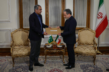 دیدار سیدمحسن نقوی وزیر کشور پاکستان، وزیر کشور پاکستان با سیدعباس عراقچی، وزیر امورخارجه ایران