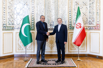 دیدار وزیر کشور پاکستان با وزیر امورخارجه ایران