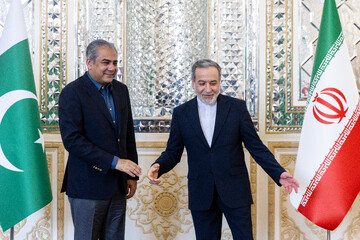 دیدار وزیر کشور پاکستان با وزیر امورخارجه ایران