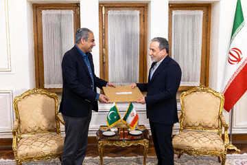دیدار وزیر کشور پاکستان با وزیر امورخارجه ایران