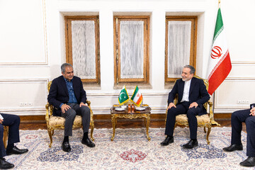 دیدار وزیر کشور پاکستان با وزیر امورخارجه ایران