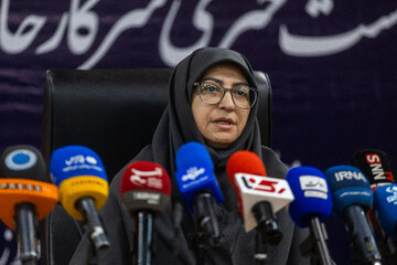 نشست خبری شینا انصاری، رئیس سازمان حفاظت محیط زیست