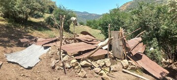 ۱۳ دستگاه اجرایی به تکالیف قانونی عمل نکردند