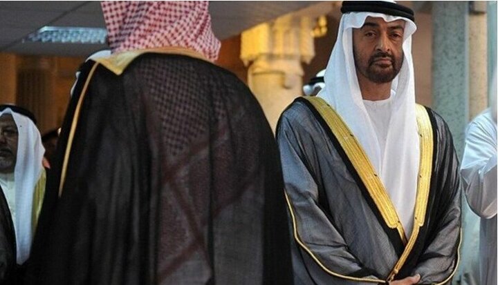 امارات کارزاری را برای التماس وفاداری به بن زاید به راه انداخت