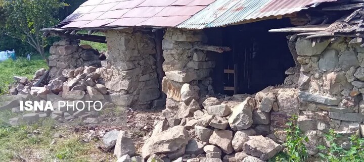 کشف محموله تخته قاچاق در سوادکوه توسط سرجنگلبانی پل‌سفید