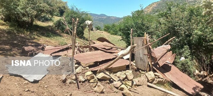کشف محموله تخته قاچاق در سوادکوه توسط سرجنگلبانی پلسفید