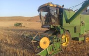 نظارت بر روند برداشت گندم، کلزا، جو و سیلوی گندم در چرداول