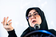 مهاجرانی: لایحه منع خشونت علیه زنان در مسیر استرداد است