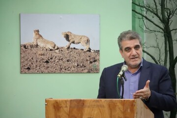 استاندار: مدیریت چالش‌های محیط‌زیستی سمنان نیازمند هم‌افزایی و فرهنگ‌سازی است