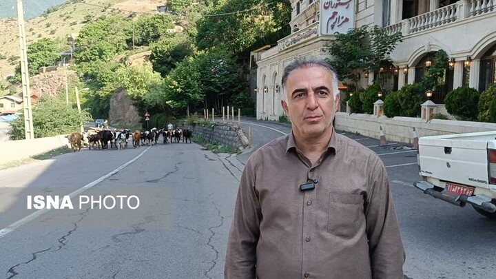 آوای زنگوله‌ها در کوهستان/ کوچ هشت هزار رأس دام از دل کندوان به ییلاقات