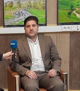 برپایی ۴۶ نمایشگاه صنایع دستی صنعتگران ایلام در عراق/وجود ۳۰ هزار صنعتگر فعال در استان
