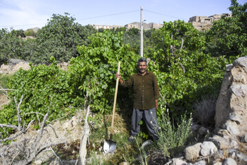 مردان روستای «قلعه بالا» اغلب به شغل کشاورزی و دامداری مشغول هستند.