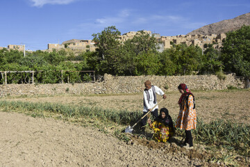 مردان روستای «قلعه بالا» اغلب به شغل کشاورزی و دامداری مشغول هستند و زنان نیز به آنها کمک می کنند.