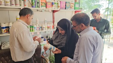 کشف سموم ممنوعه و قاچاق در زرند/ هشدار به داروخانه‌های گیاه‌پزشکی متخلف 