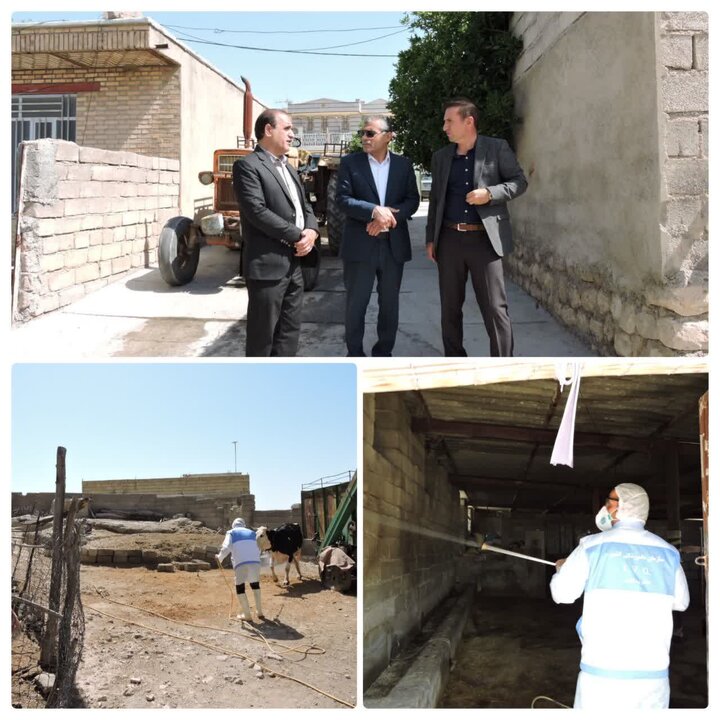 آغاز عملیات پیشگیری از بیماری تب کریمه کنگو در روستاهای آبدانان