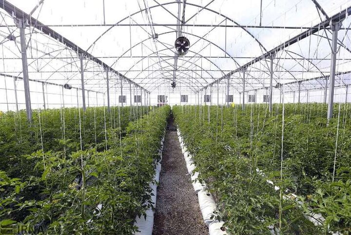 ۸۷ پروژه کشاورزی در سیستان و بلوچستان آماده افتتاح شد