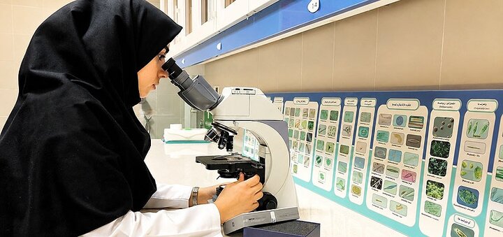 اجرای برنامه ایمنی آب در ۳۵ شهر و روستا قم