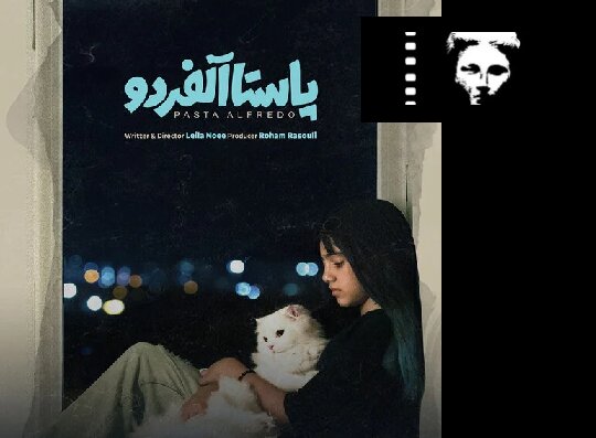  «پاستا آلفردو» از آلبانی جایزه گرفت