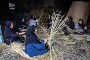 نوغانداری؛ میراث کهن گیلان در مسیر احیا و توسعه
