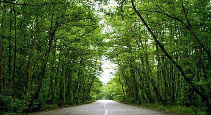 استاندار گیلان: گیسوم نمونه‌ای موفق از همزیستی طبیعت، فرهنگ و گردشگری پایدار است