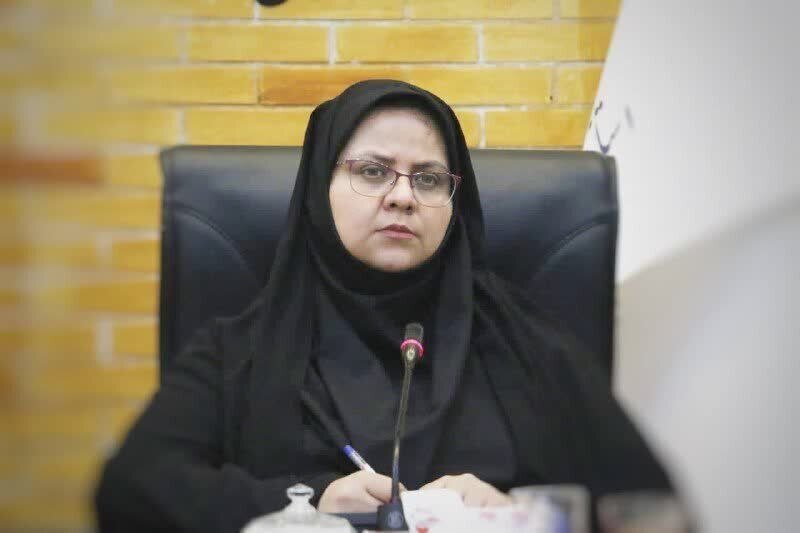 تاکید مدیر دفتر امور بانوان استانداری کرمان بر نقش مهارت‌آمو
