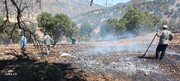 مهار آتش‌سوزی در منطقه حفاظت‌شده «مانشت و «قلارنگ»/ ۵ هکتار از جنگل‌های «شلم» سوخت