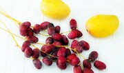انبه و خرما؛ طلای سبز جنوب سیستان و بلوچستان/
سرمایه‌گذاری؛ حلقه مفقوده توسعه کشاورزی