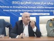 تدوین برنامه ۵ ساله برای مدیریت آتش‌سوزی در جنگل‌ها و مراتع