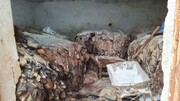 کشف انبار گوشت‌ فاسد در اردبیل