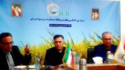 مدیر جهاد کشاورزی آمل: کشاورزی قراردادی و توسعه صادرات، راهکار تقویت زنجیره تولید برنج است