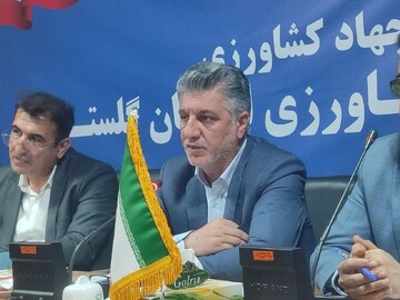 صادرات سیب زمینی بدون محدودیت ادامه دارد؛ تامین کافی گوشت مرغ در گلستان