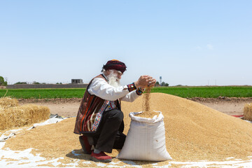 آیین جشن خرمن در روستای شفیع آباد- نیشابور