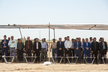آیین جشن خرمن در روستای شفیع آباد- نیشابور