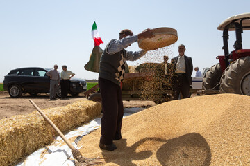 آیین جشن خرمن در روستای شفیع آباد- نیشابور