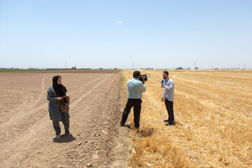 آیین جشن خرمن در روستای شفیع آباد- نیشابور
