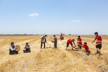 آیین جشن خرمن در روستای شفیع آباد- نیشابور