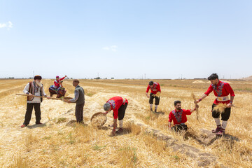 آیین جشن خرمن در روستای شفیع آباد- نیشابور