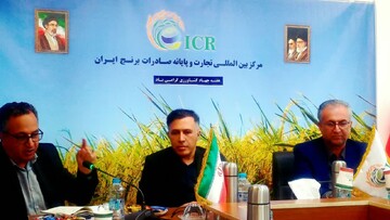 مدیر جهاد کشاورزی آمل: کشاورزی قراردادی و توسعه صادرات، راهکار تقویت زنجیره تولید برنج است