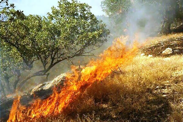 شناسایی ۱۵  کانون بحرانی حریق در همدان