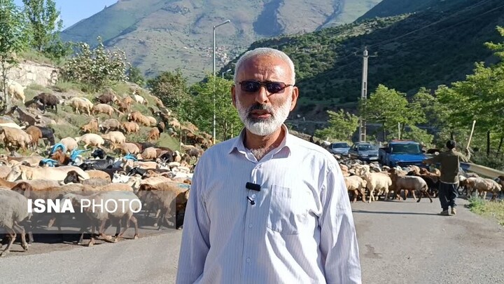 از لزوم رعایت ورود تعداد دام به مراتع تا حمایت منابع طبیعی از دامداران