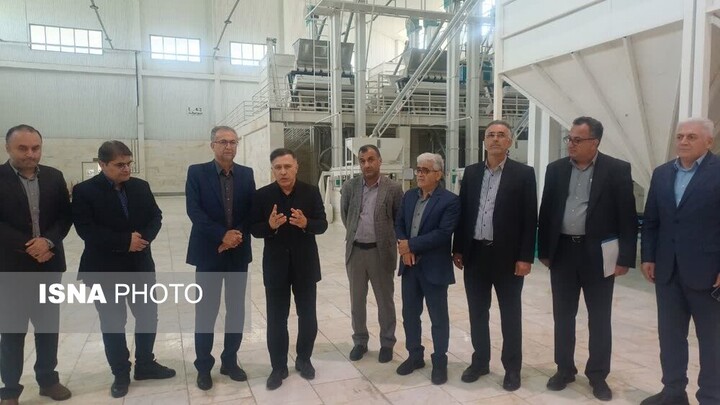 مدیر جهاد کشاورزی آمل: کشاورزی قراردادی و توسعه صادرات، راهکار تقویت زنجیره تولید برنج است