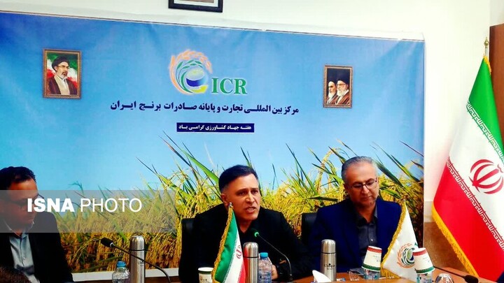 مدیر جهاد کشاورزی آمل: کشاورزی قراردادی و توسعه صادرات، راهکار تقویت زنجیره تولید برنج است