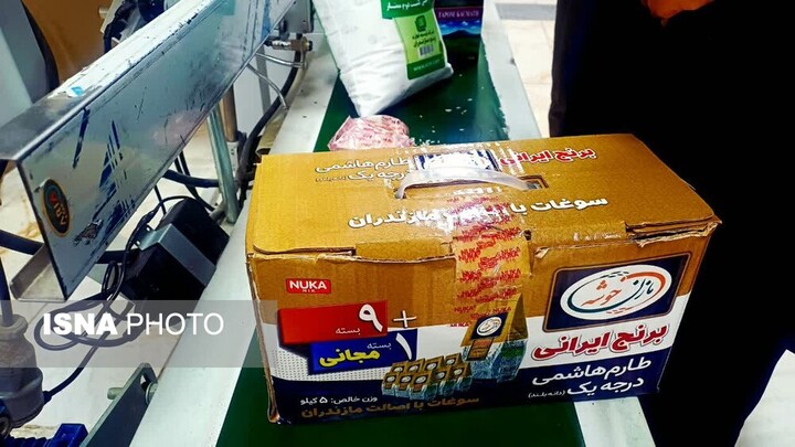 مدیر جهاد کشاورزی آمل: کشاورزی قراردادی و توسعه صادرات، راهکار تقویت زنجیره تولید برنج است