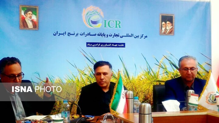مدیر جهاد کشاورزی آمل: کشاورزی قراردادی و توسعه صادرات، راهکار تقویت زنجیره تولید برنج است