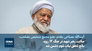 ویدیو/مصباحی‌مقدم: صلابت رهبر شهید در جنگ ۱۲ روزه، مانع تحقق نیات شوم دشمن شد